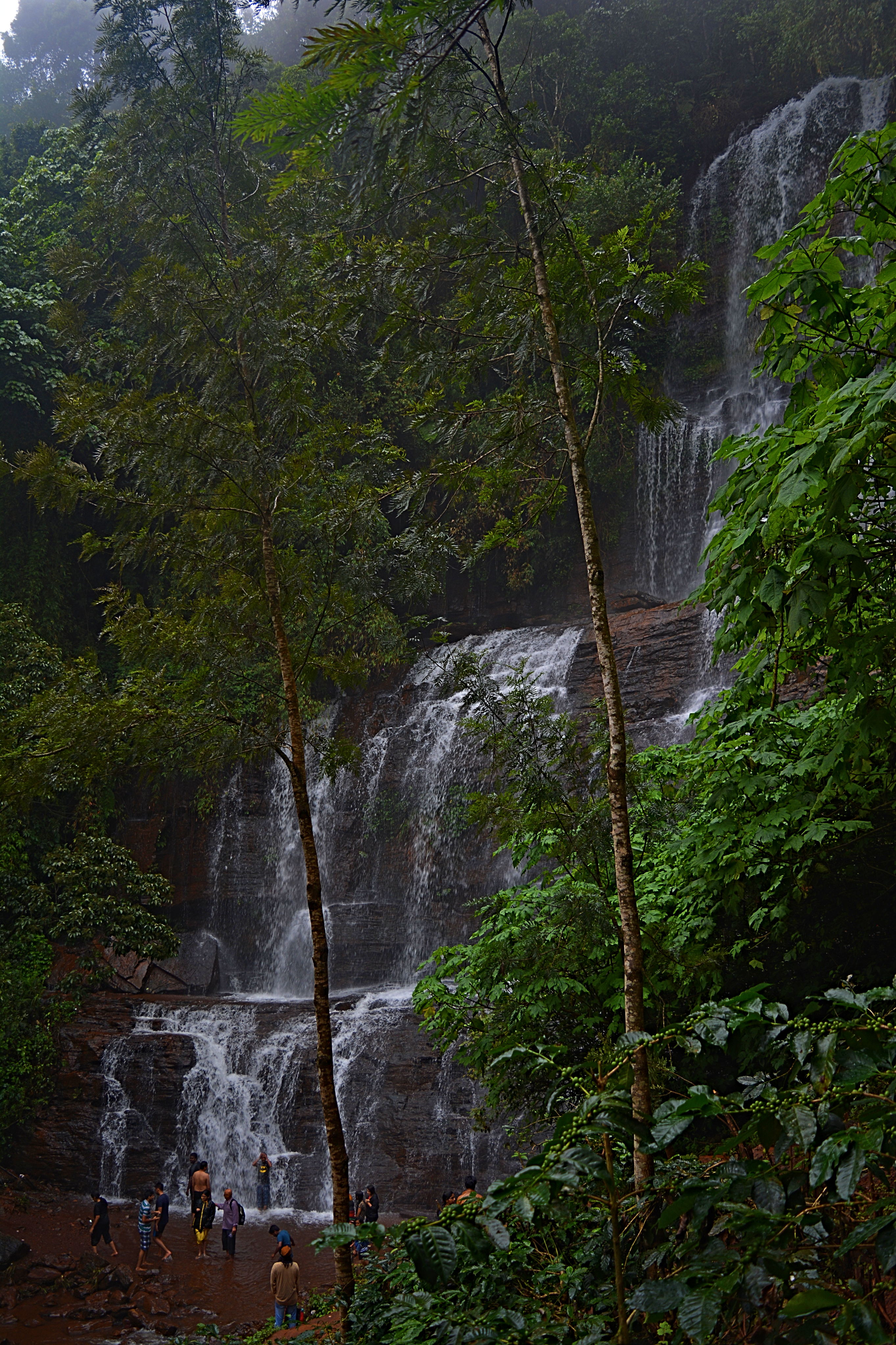 Jhari Falls Buttermilk Falls Chikmagalur