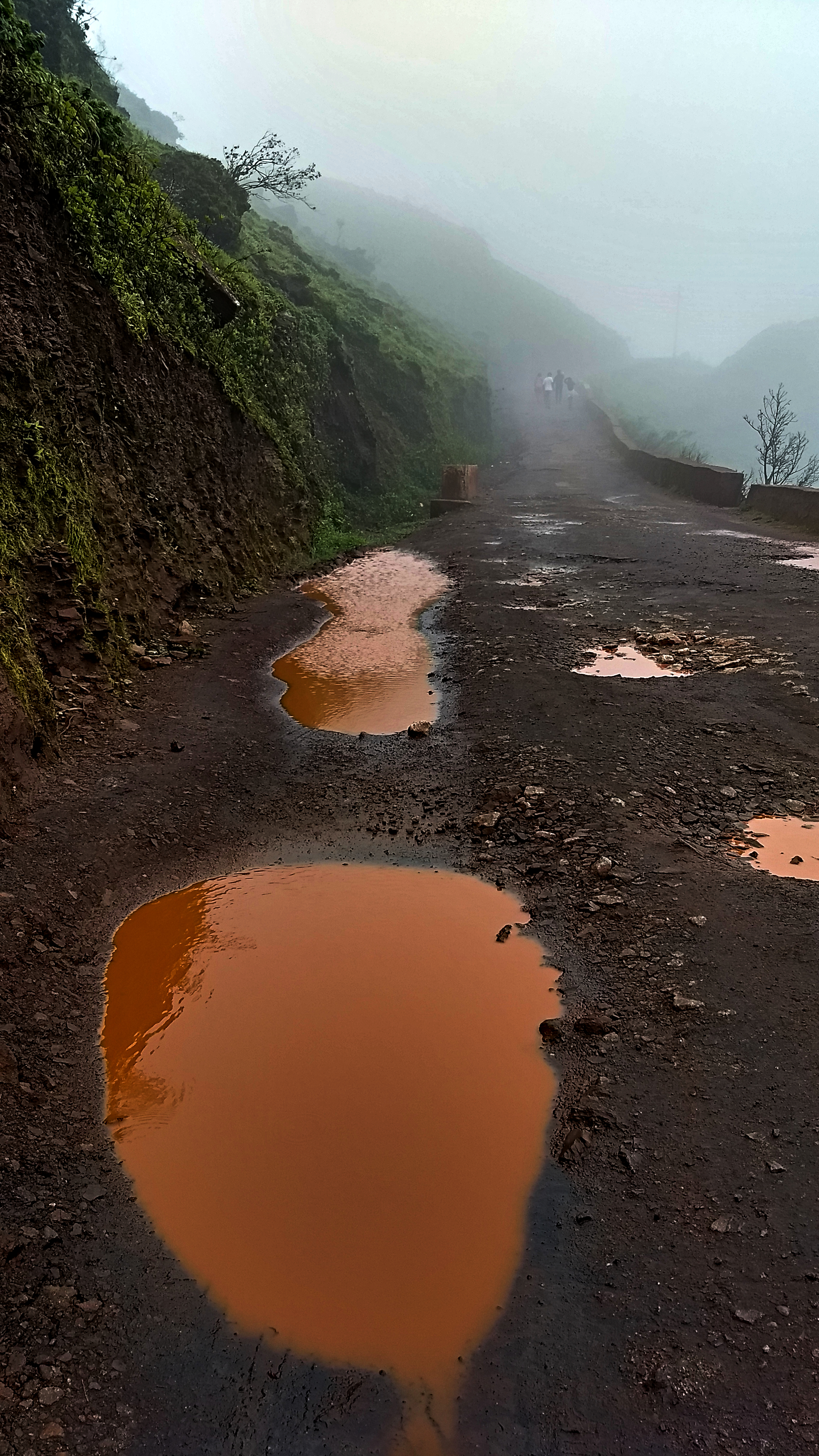 Mullayangiri Trek Chikmagalur