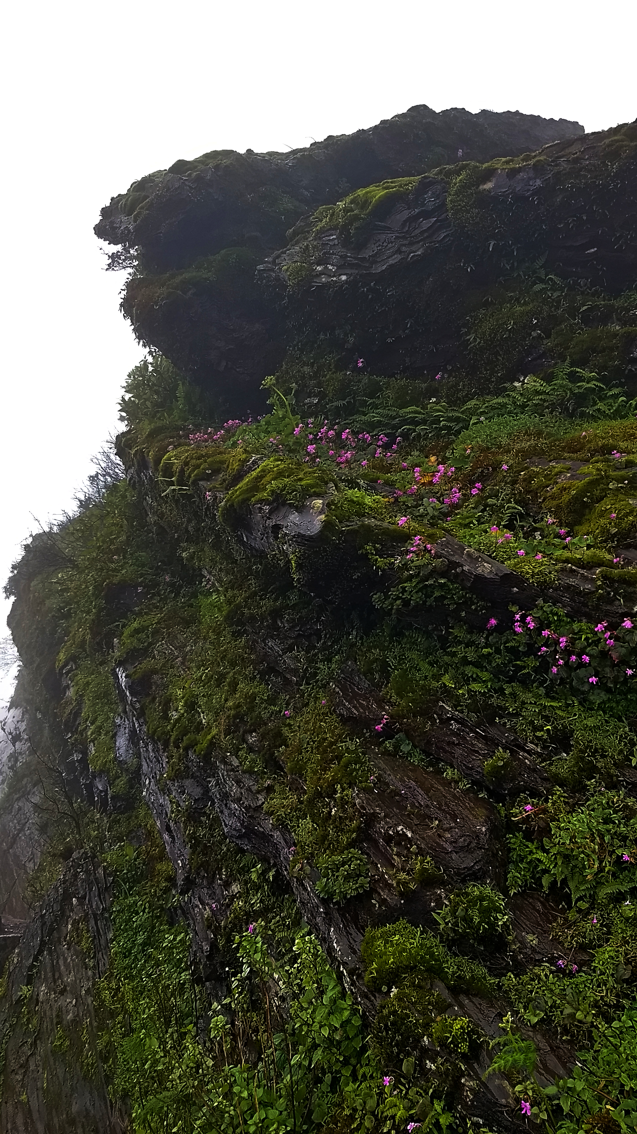 Mullayangiri Trek Chikmagalur