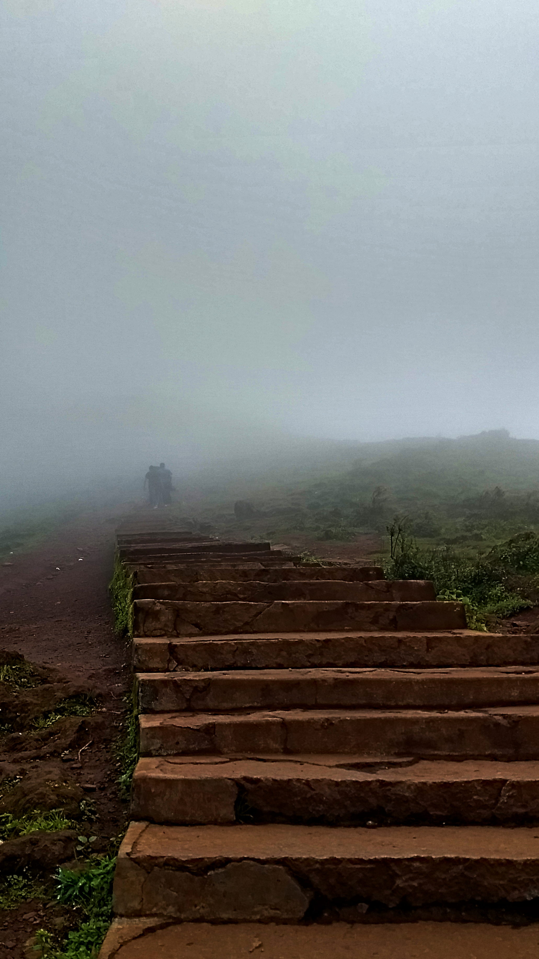 Mullayangiri Trek Chikmagalur