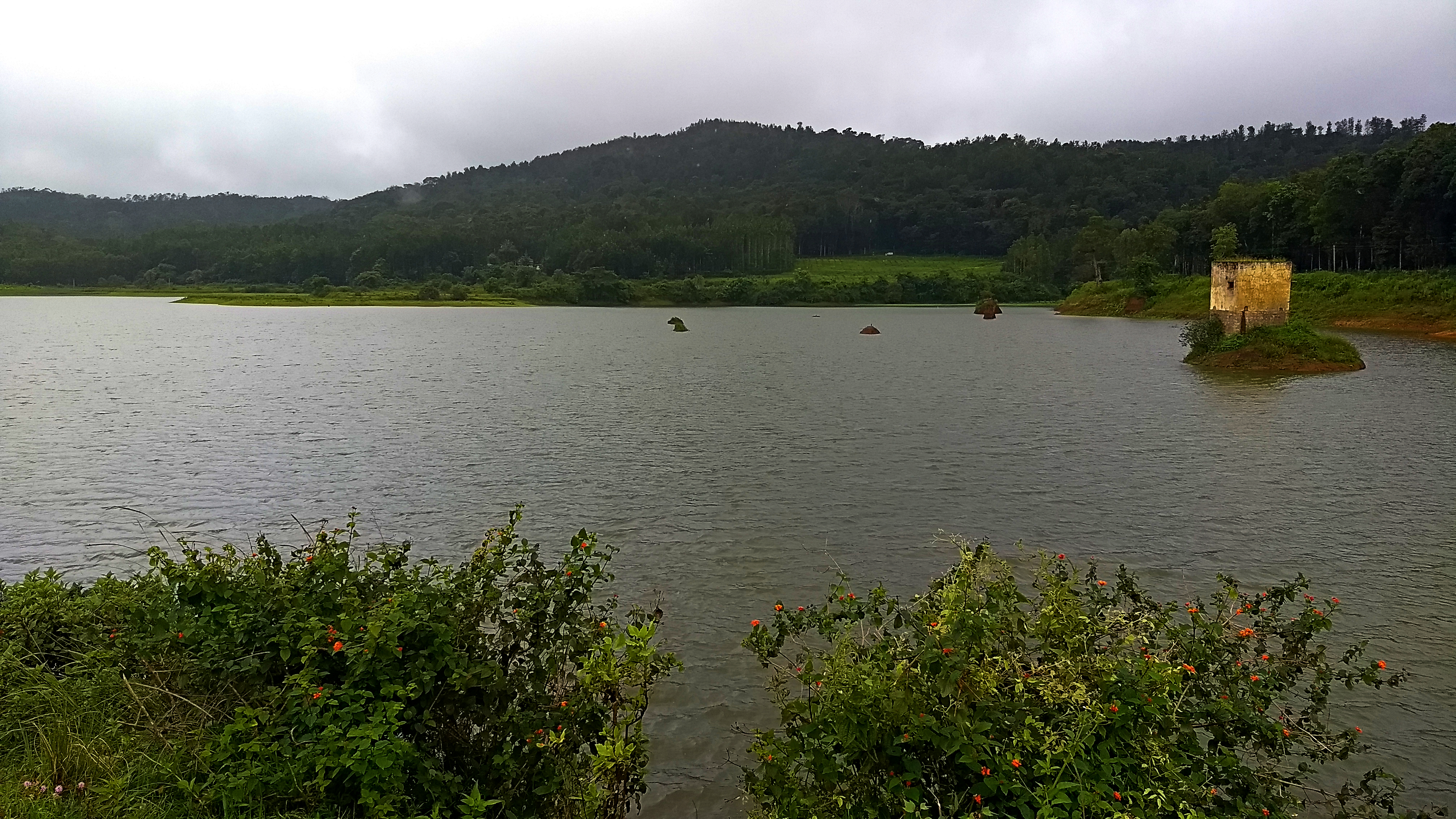 Hirekolale Lake Chikmagalur