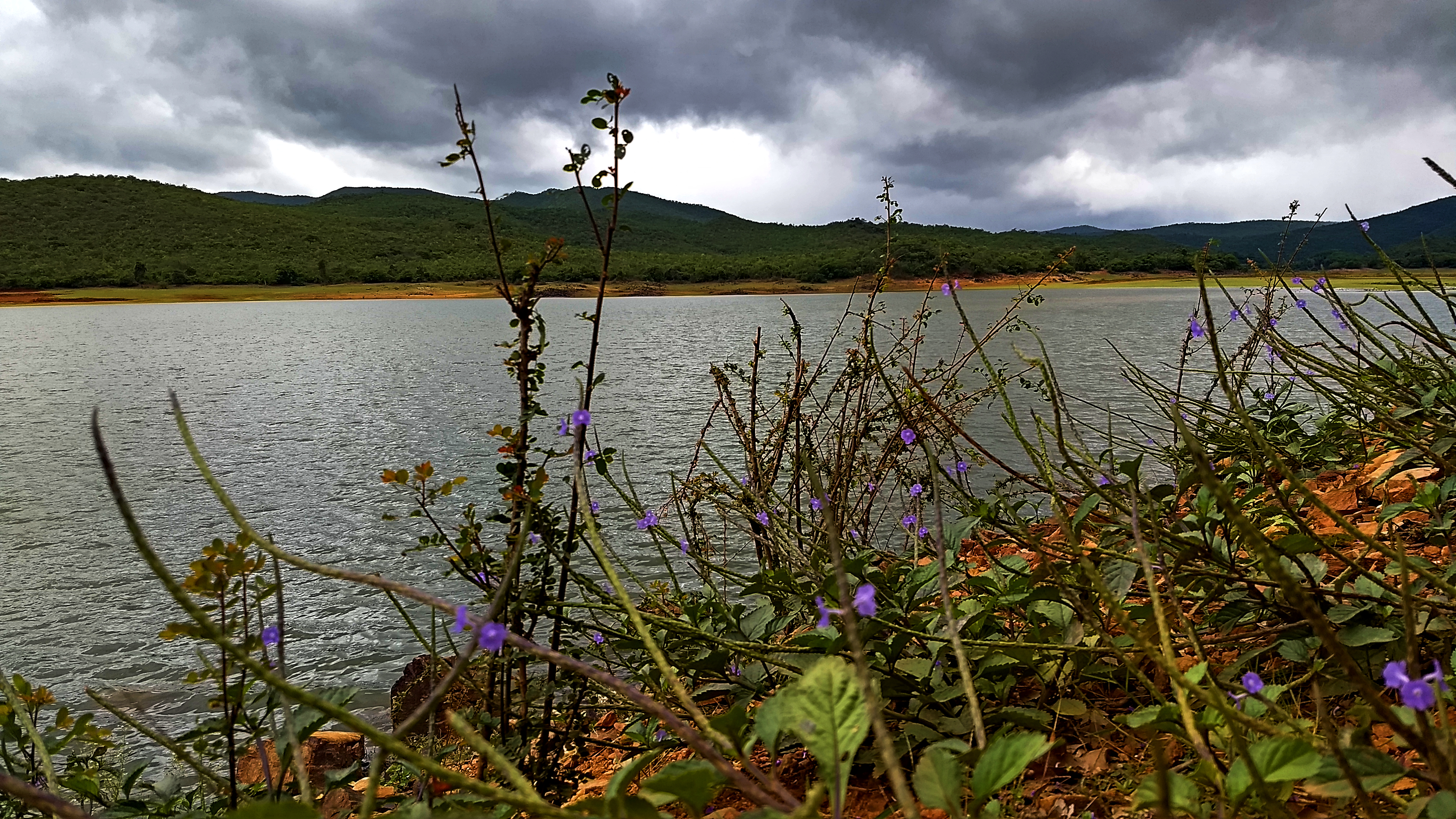 Ayyana Kere Lake Chikmagalur