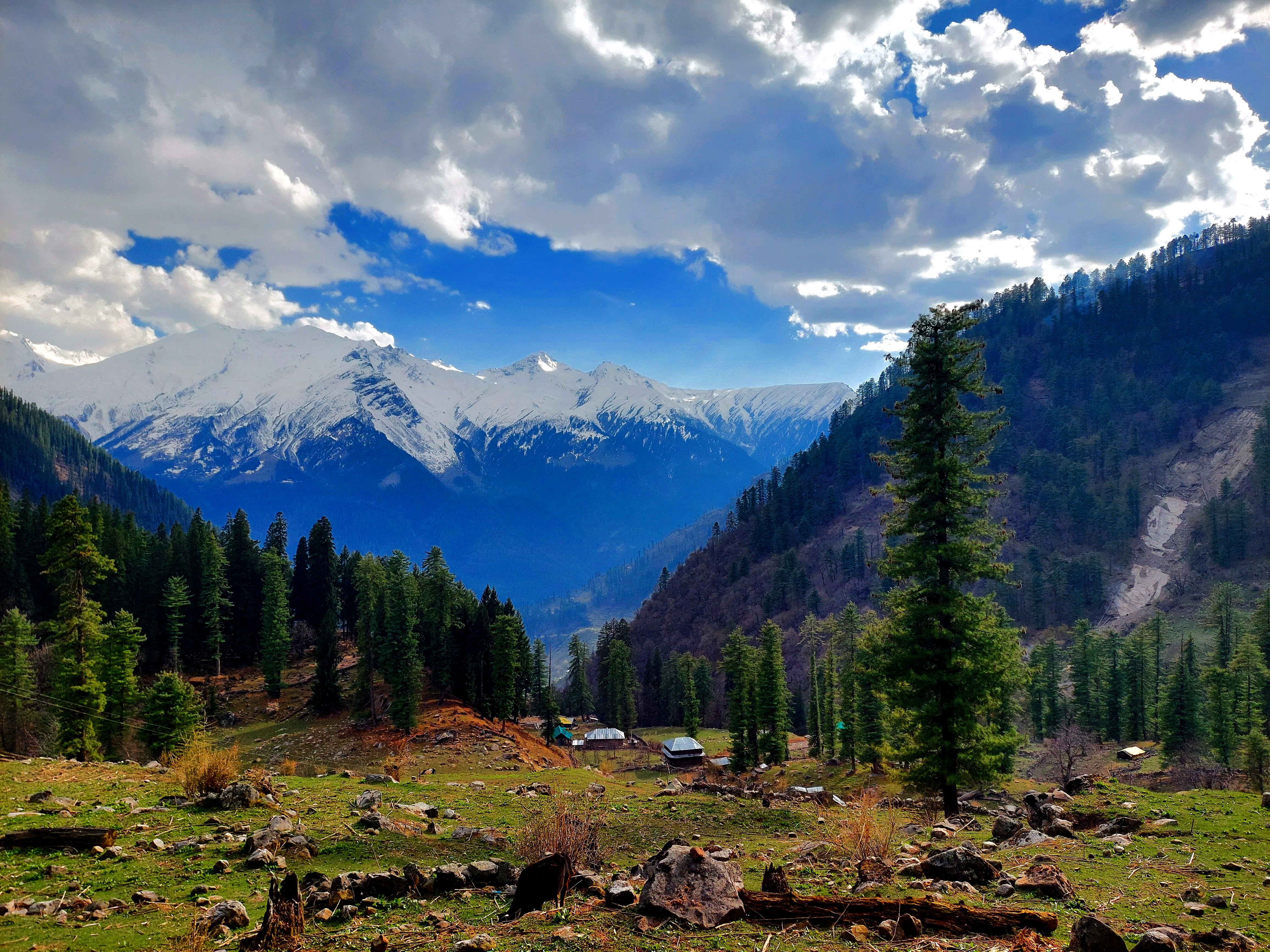 kasol kheerganga tour package